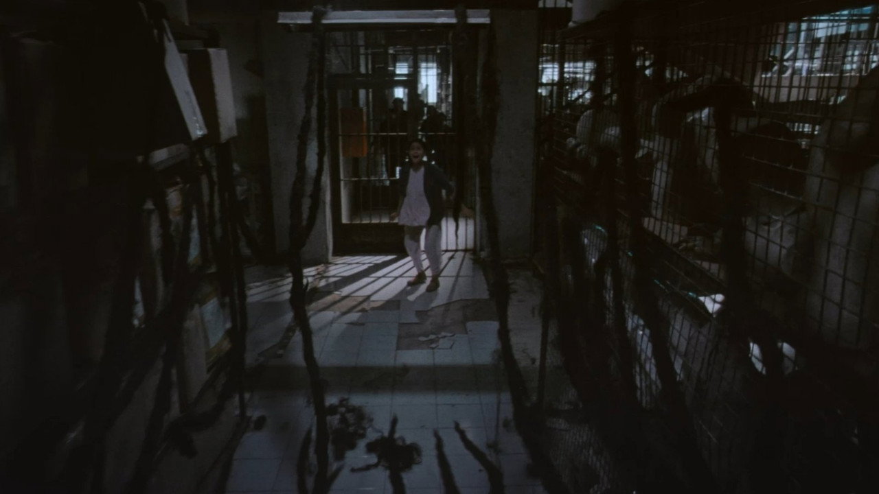 scenes 42