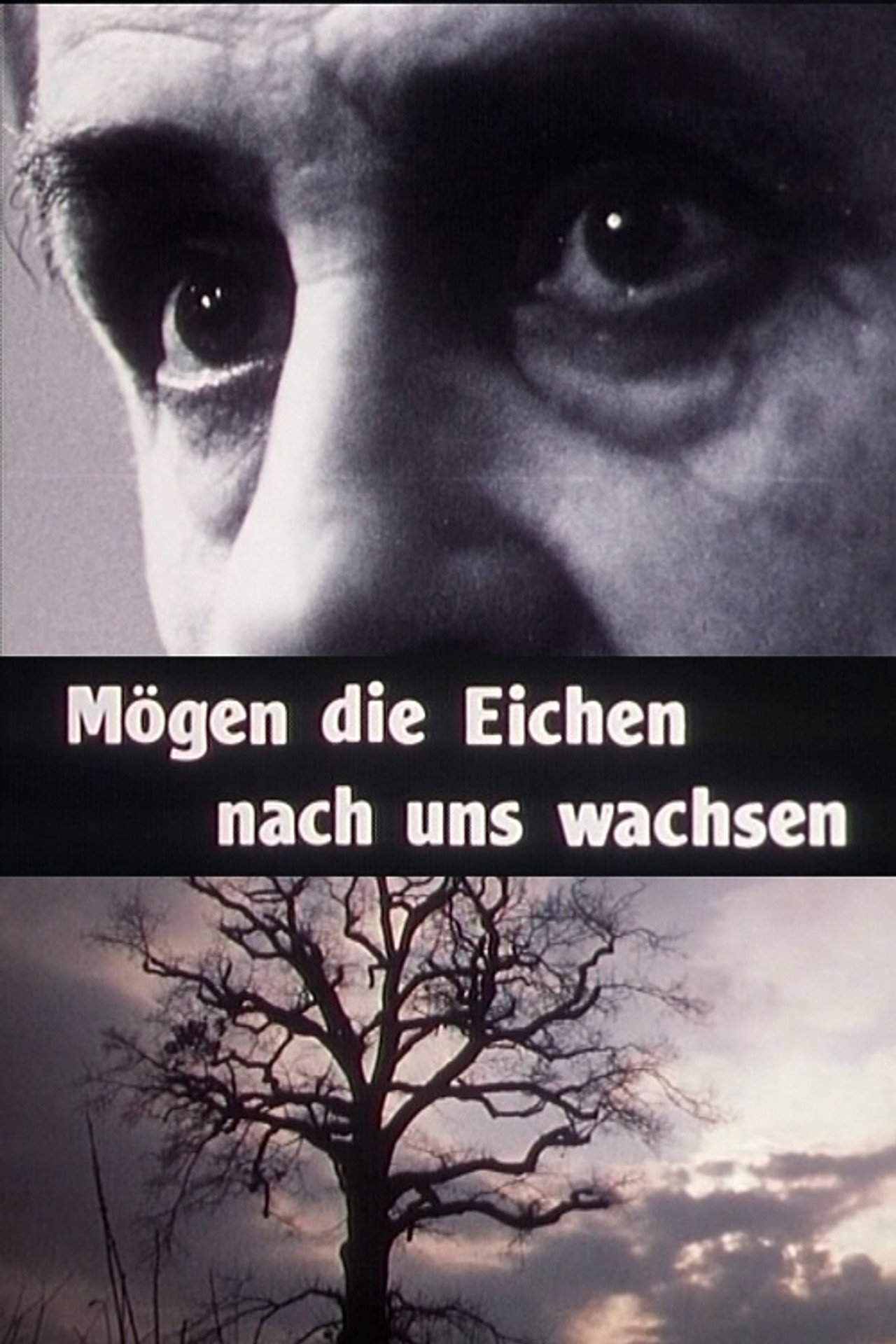 Mögen die Eichen nach uns wachsen filmaffisch