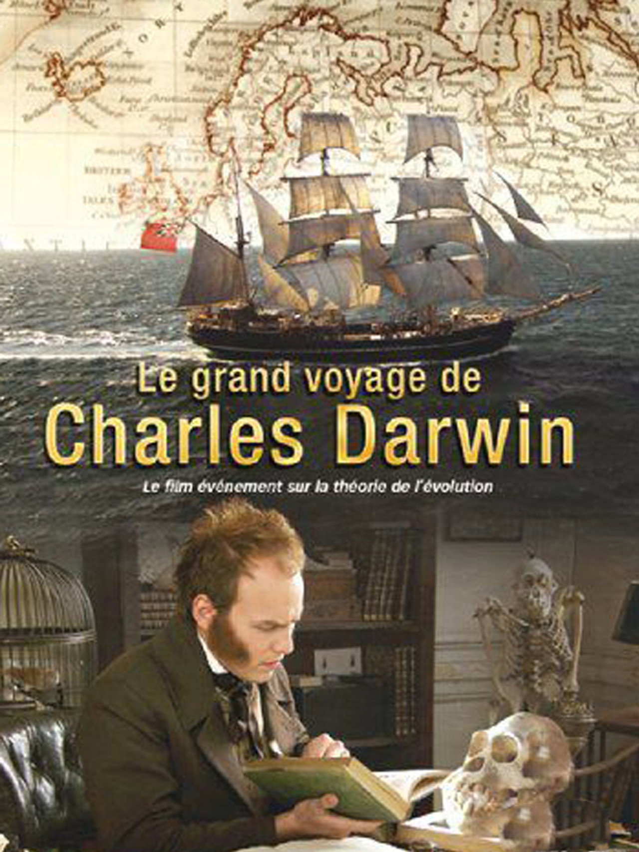 Le Grand voyage de Charles Darwin - Les Origines de la théorie de l'évolution Backdrop