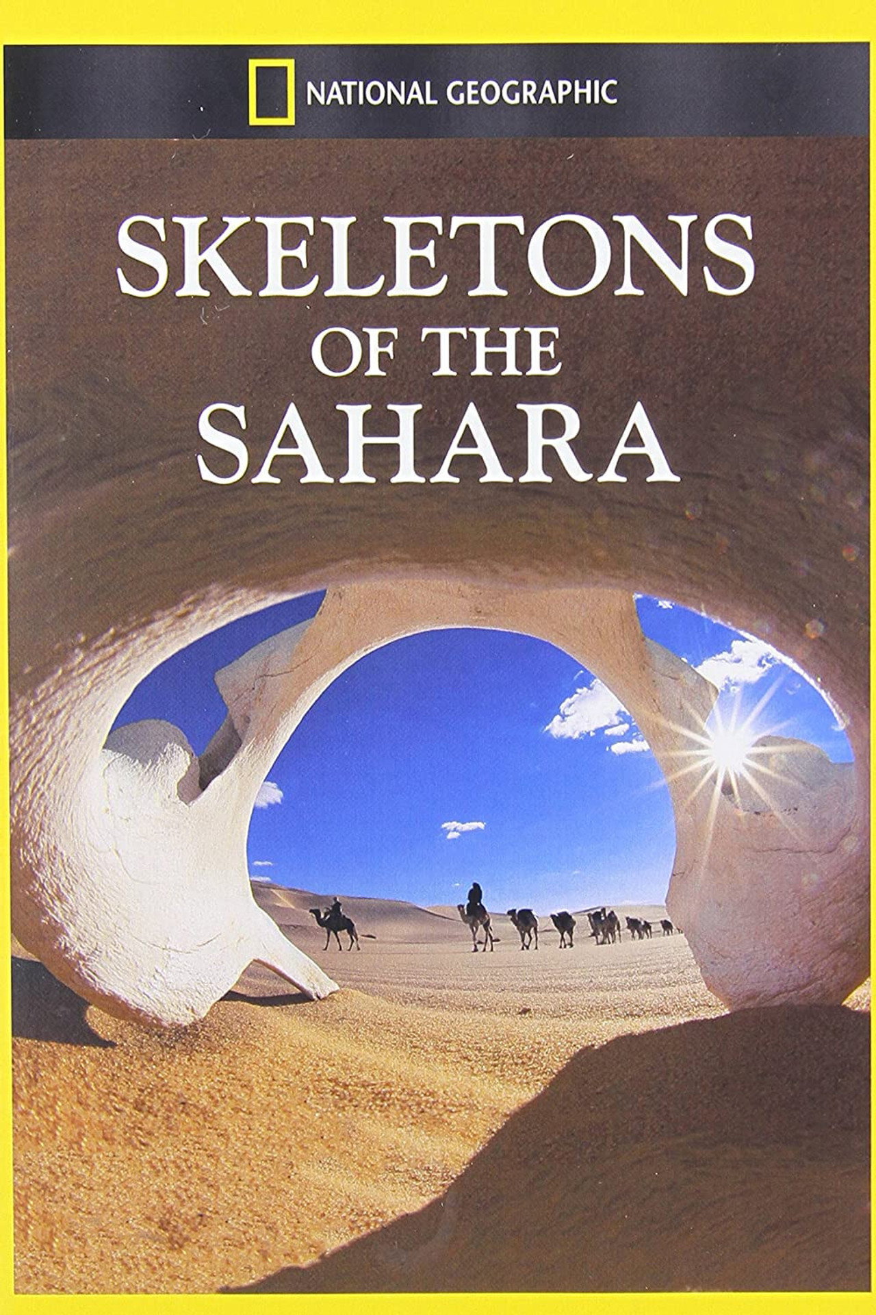 Skeletons of the Sahara filmaffisch