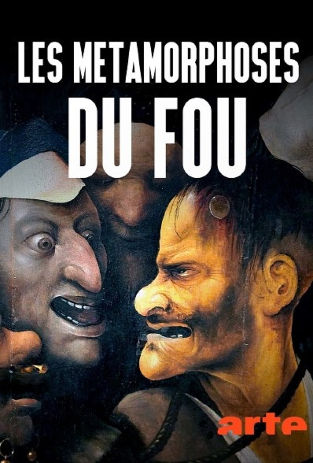 Les métamorphoses du fou poster