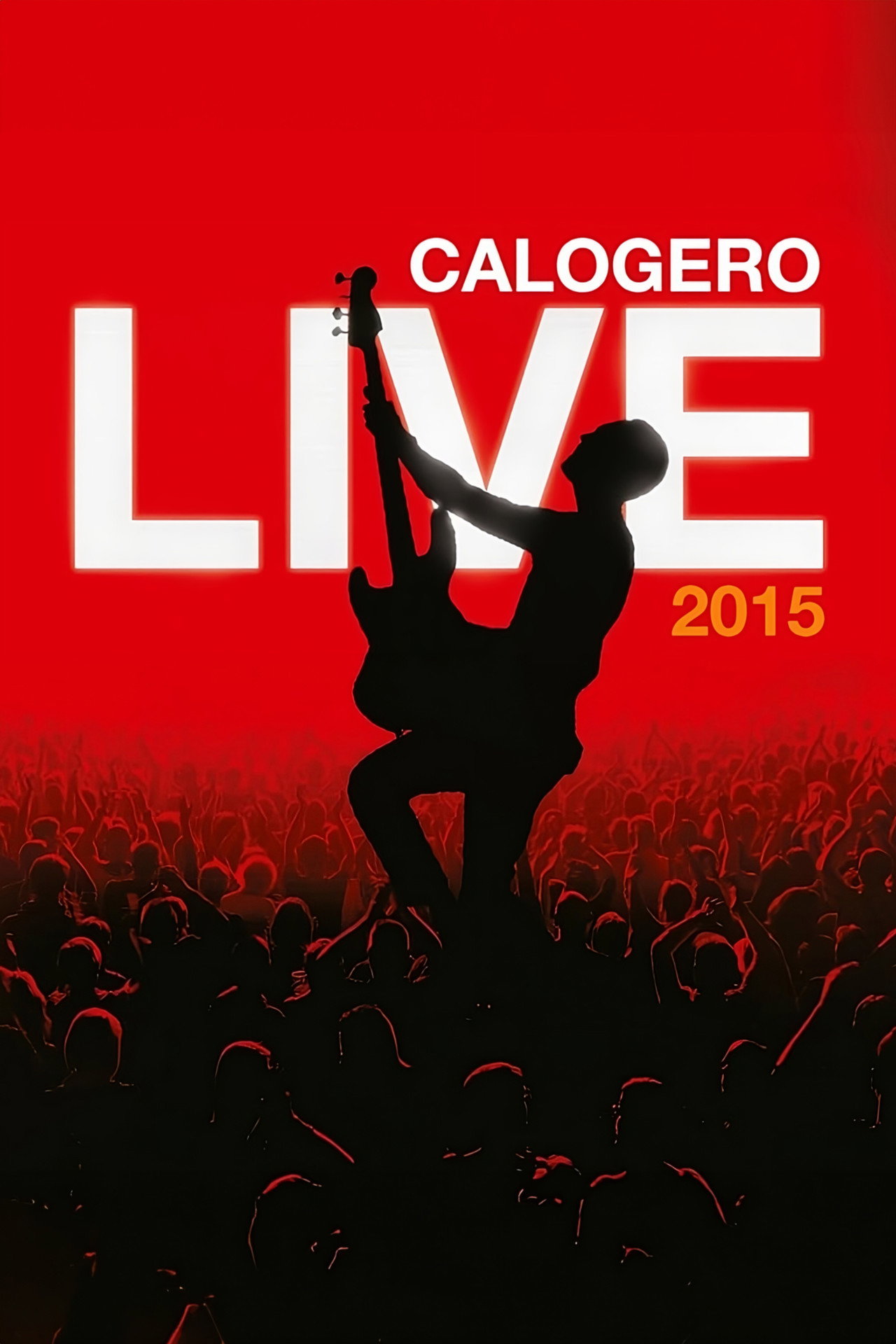 Calogero - Live 2015 filmaffisch