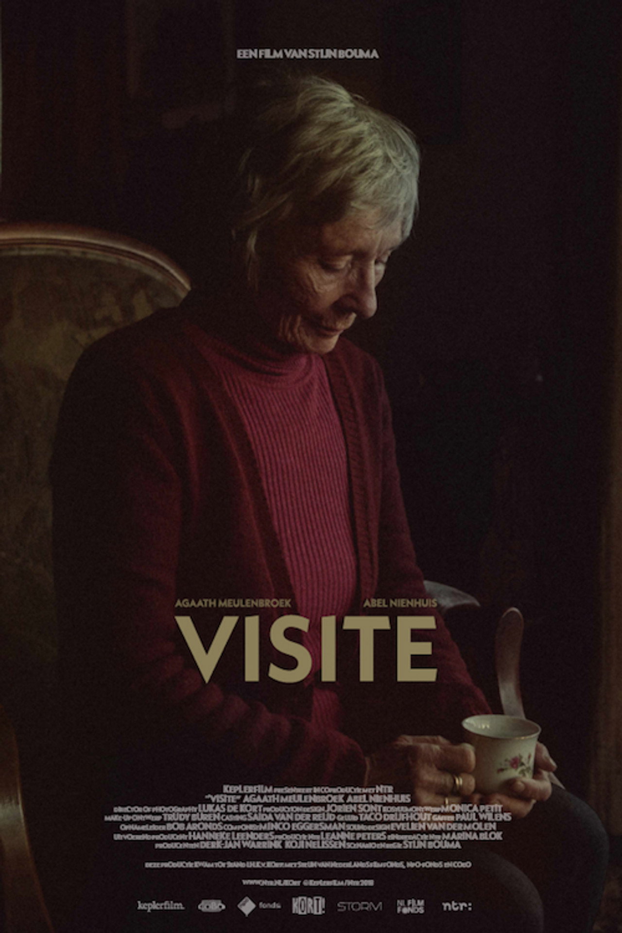Visite filmaffisch