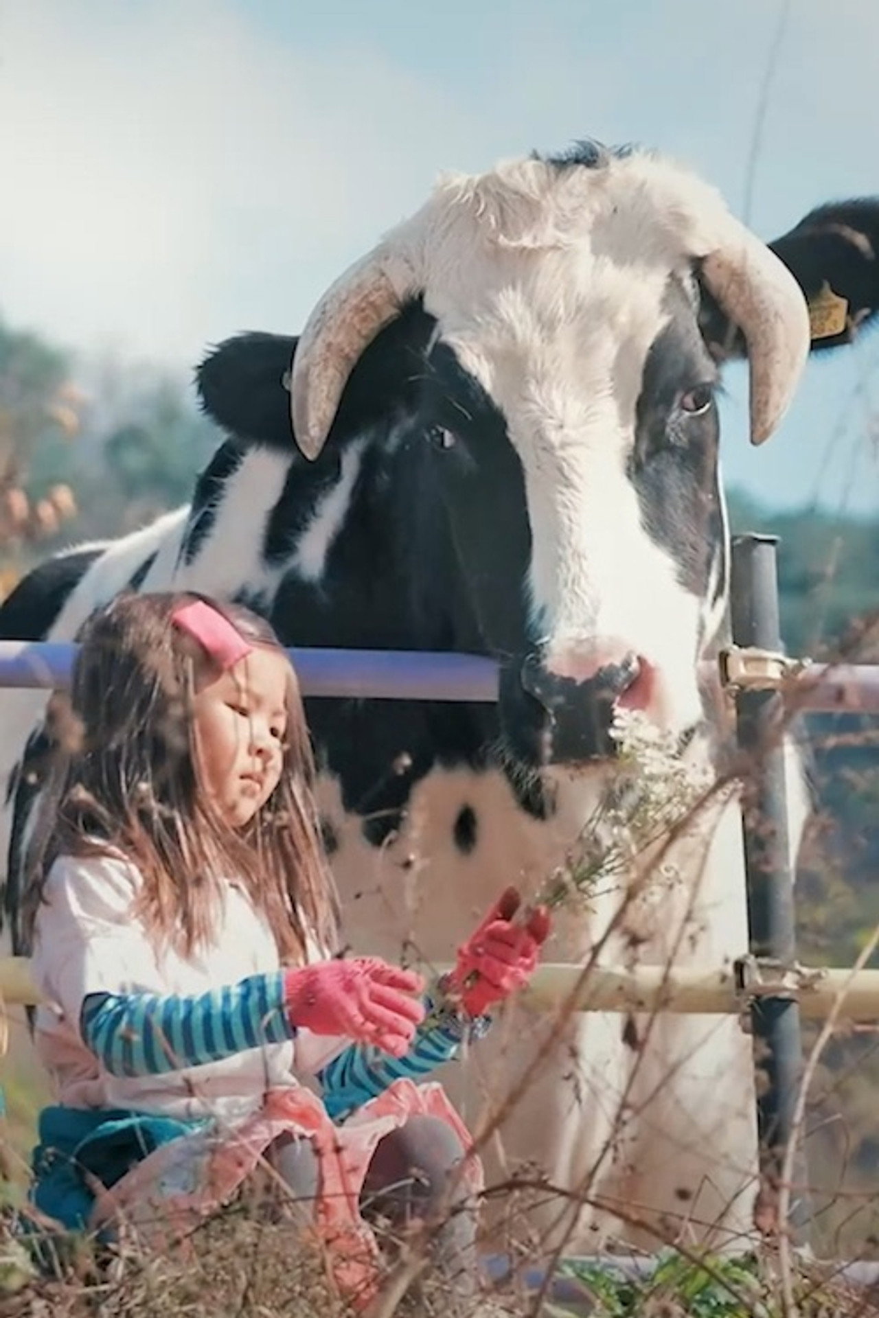 Flower Cow