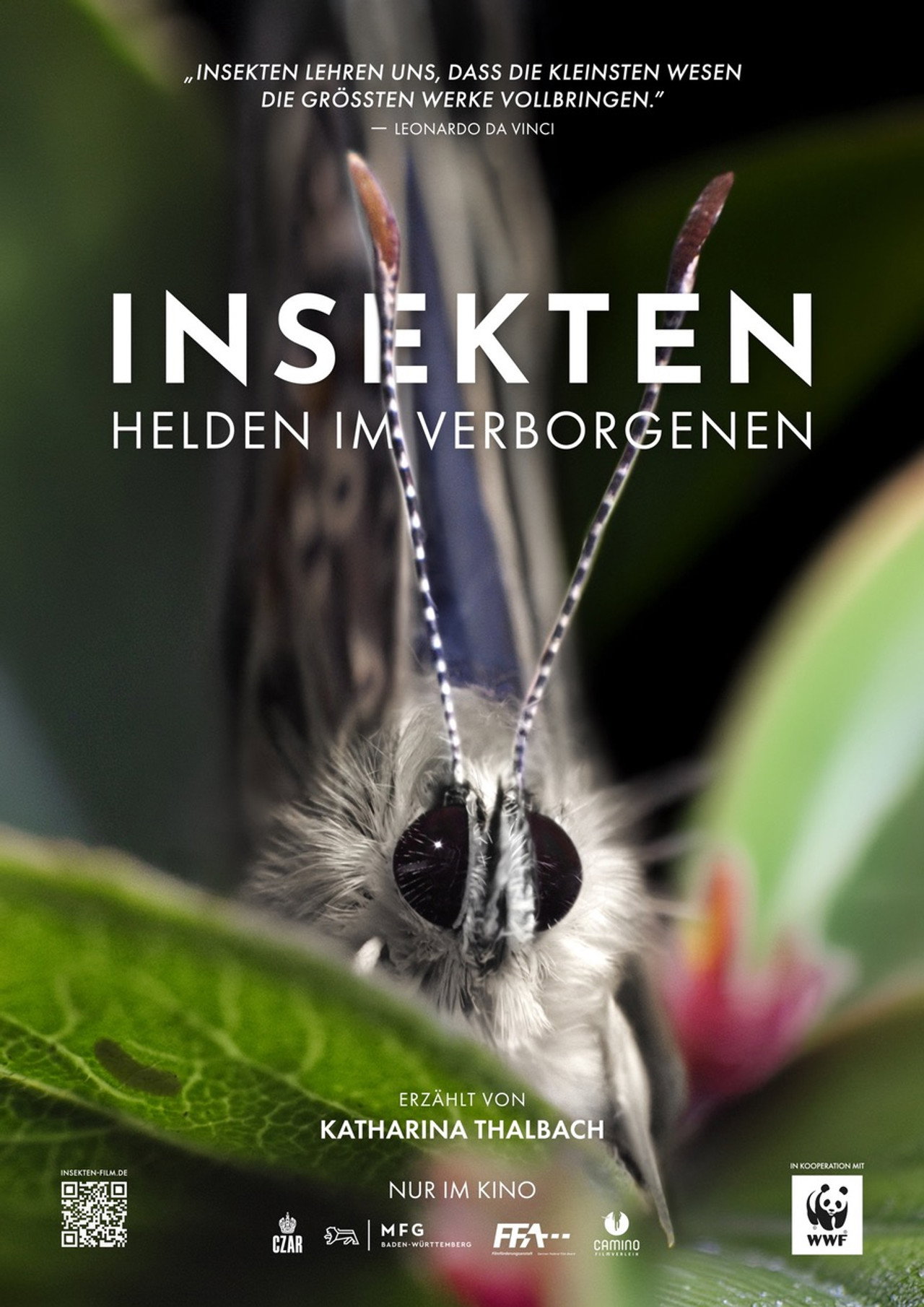 Insekten - Helden im Verborgenen Backdrop