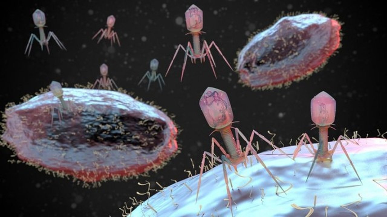 42 – The Answer to Almost Everything - Season 1 Episode 175 : Episode 175