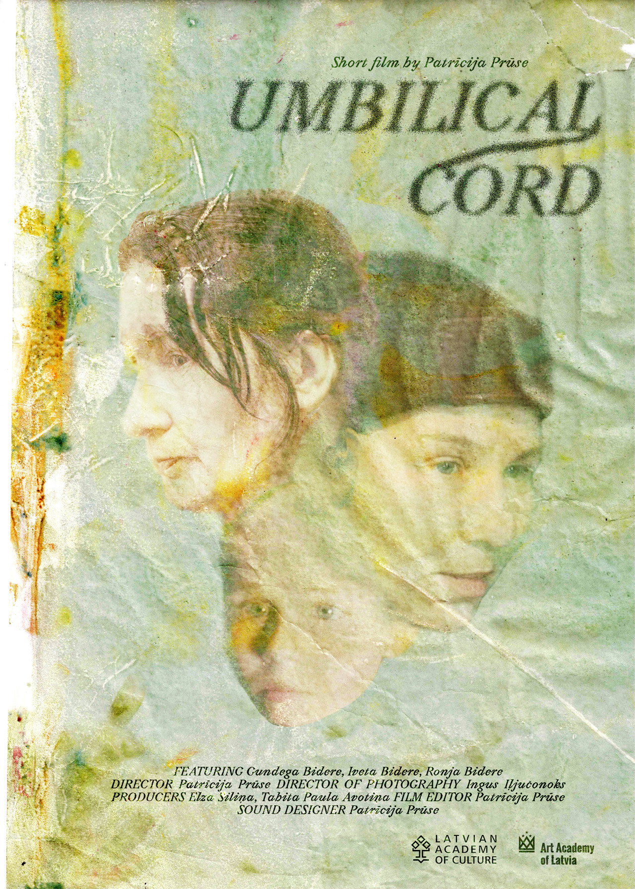 Umbilical Cord