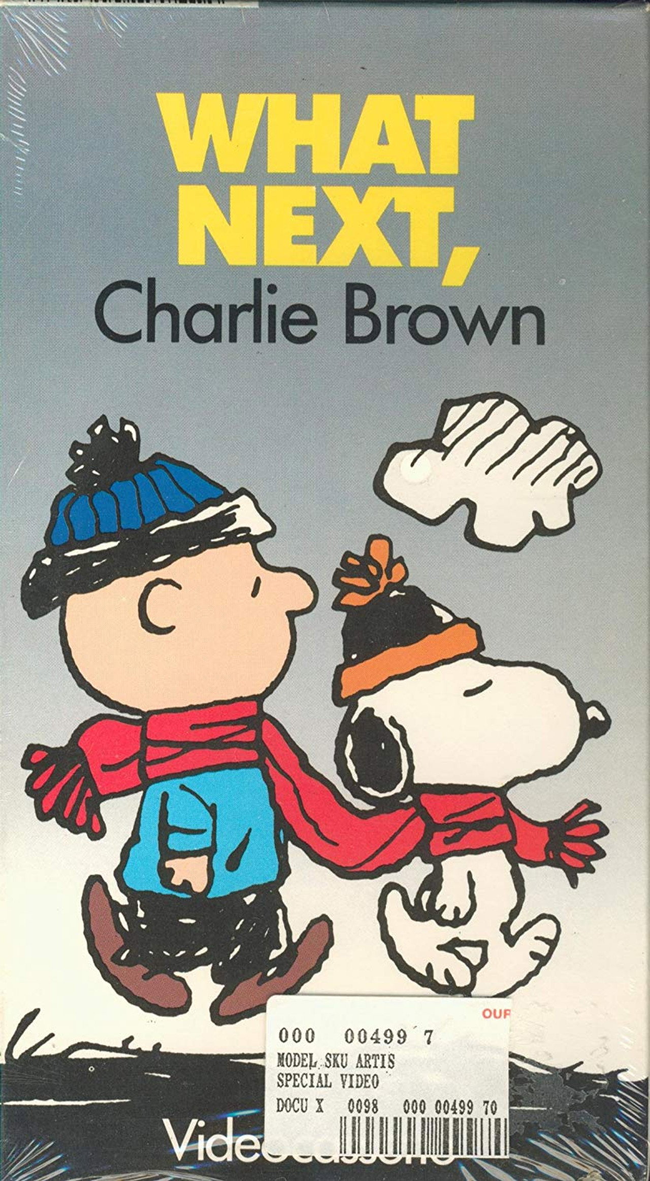 What Next, Charlie Brown Backdrop