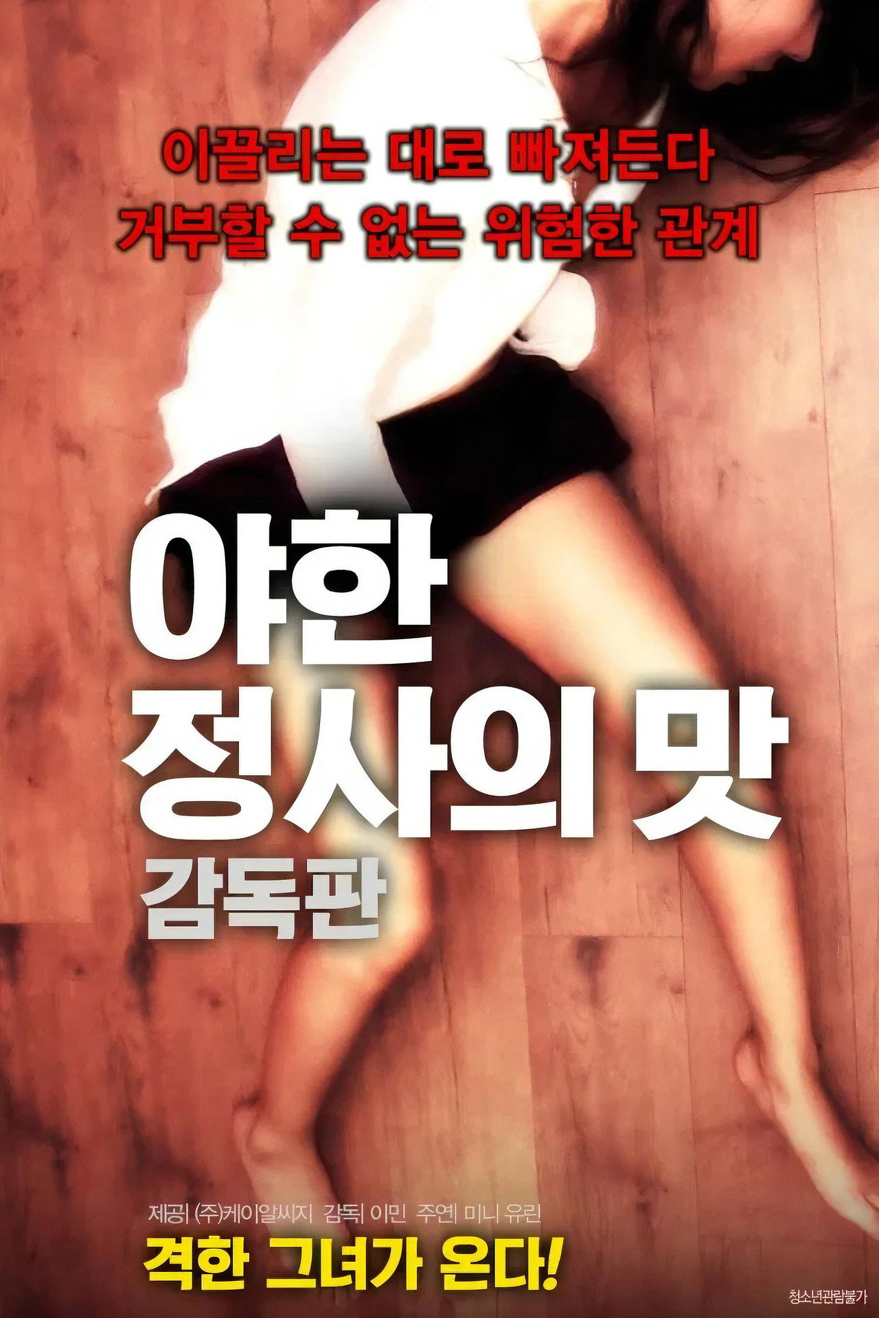 야한 정사의 맛 filmaffisch