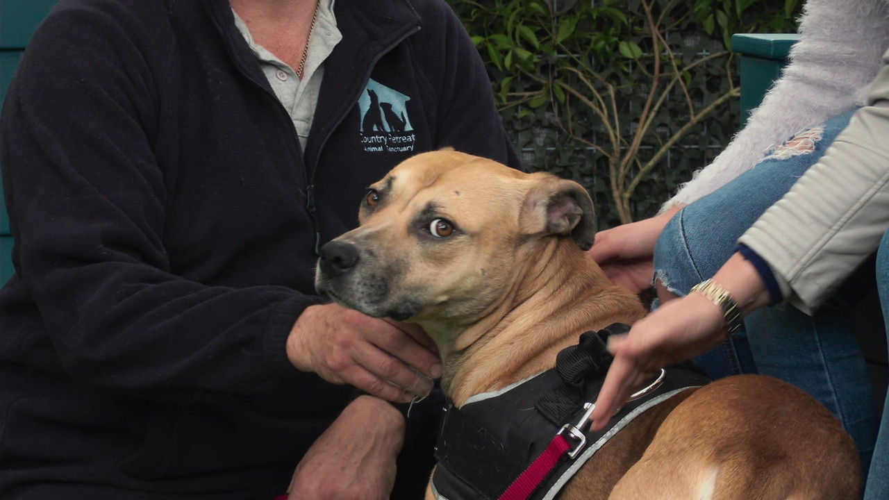 The Dog House NZ — Épisode 7