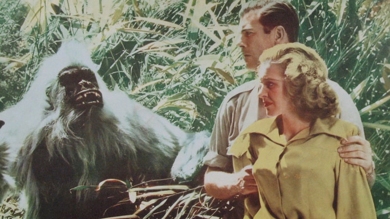 Scen från Vita gorillan