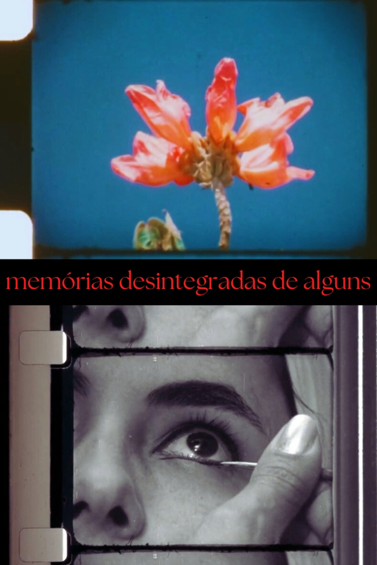 Memórias Desintegradas de Alguns