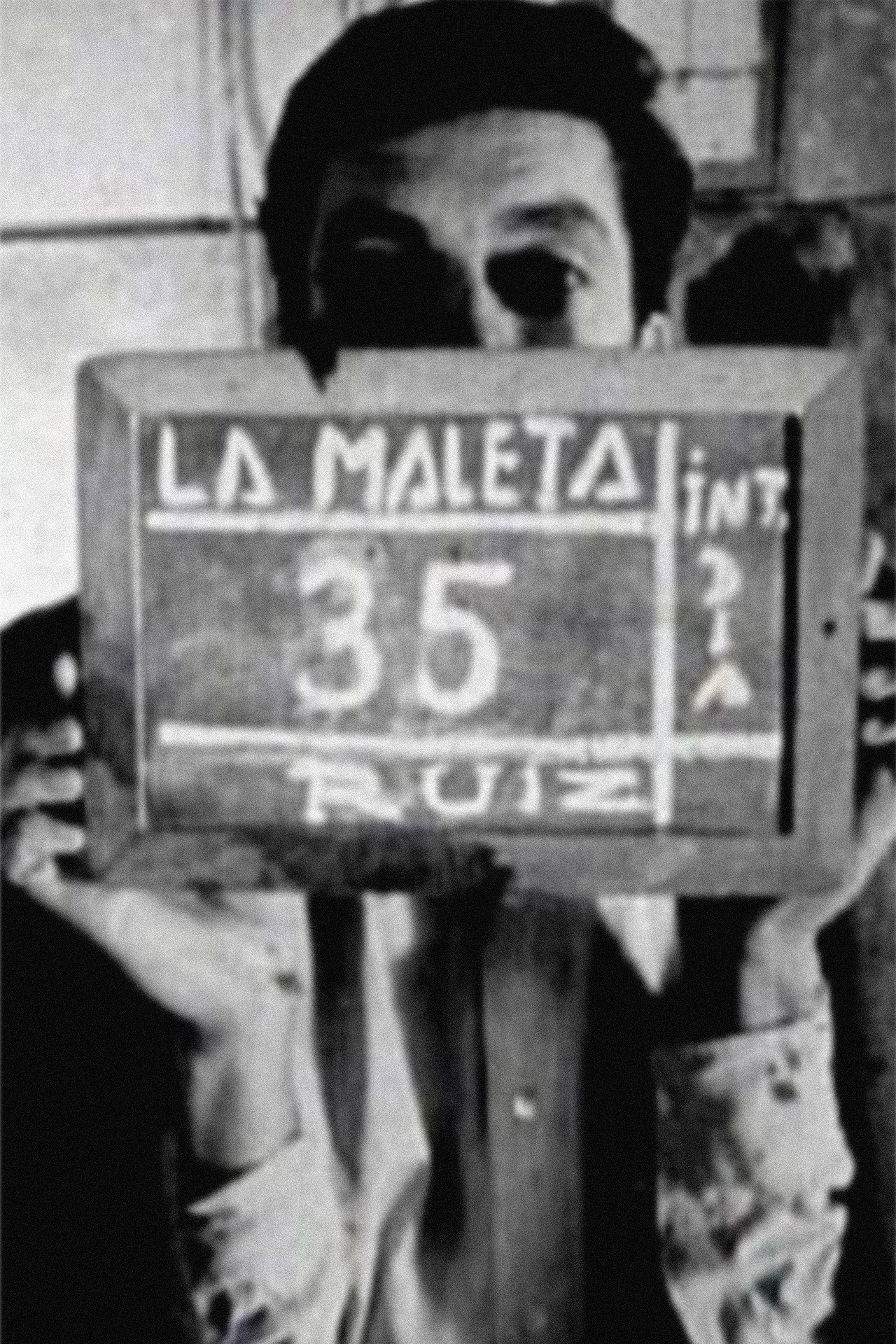 The Suitcase