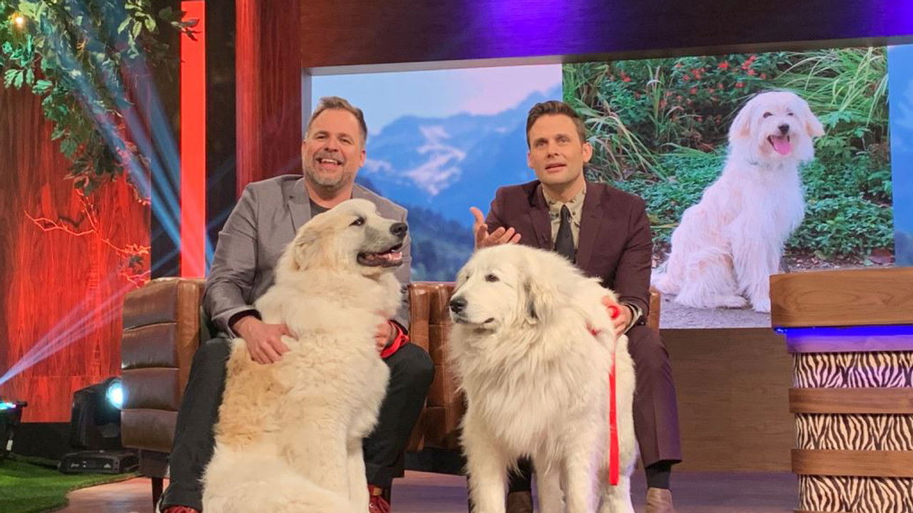 Les poilus — Épisode 11