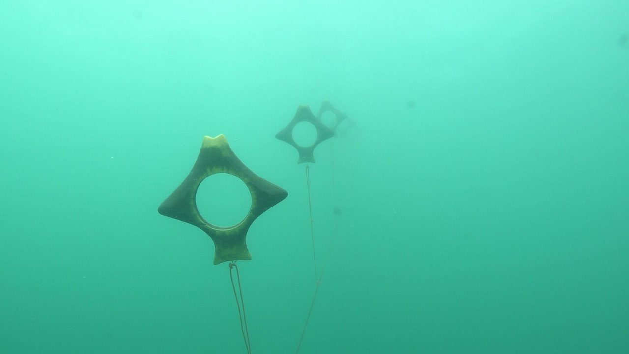 Robinson - Season 25 Episode 20 : Episode 20