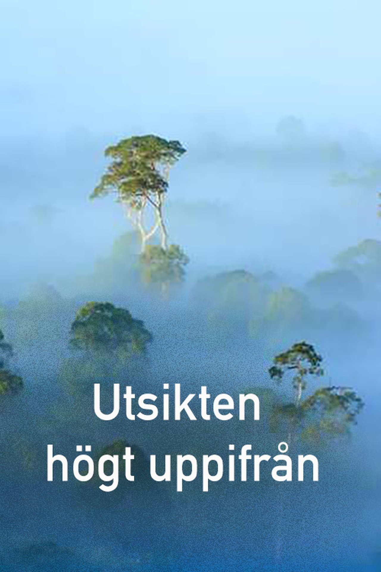 The View From on High poster