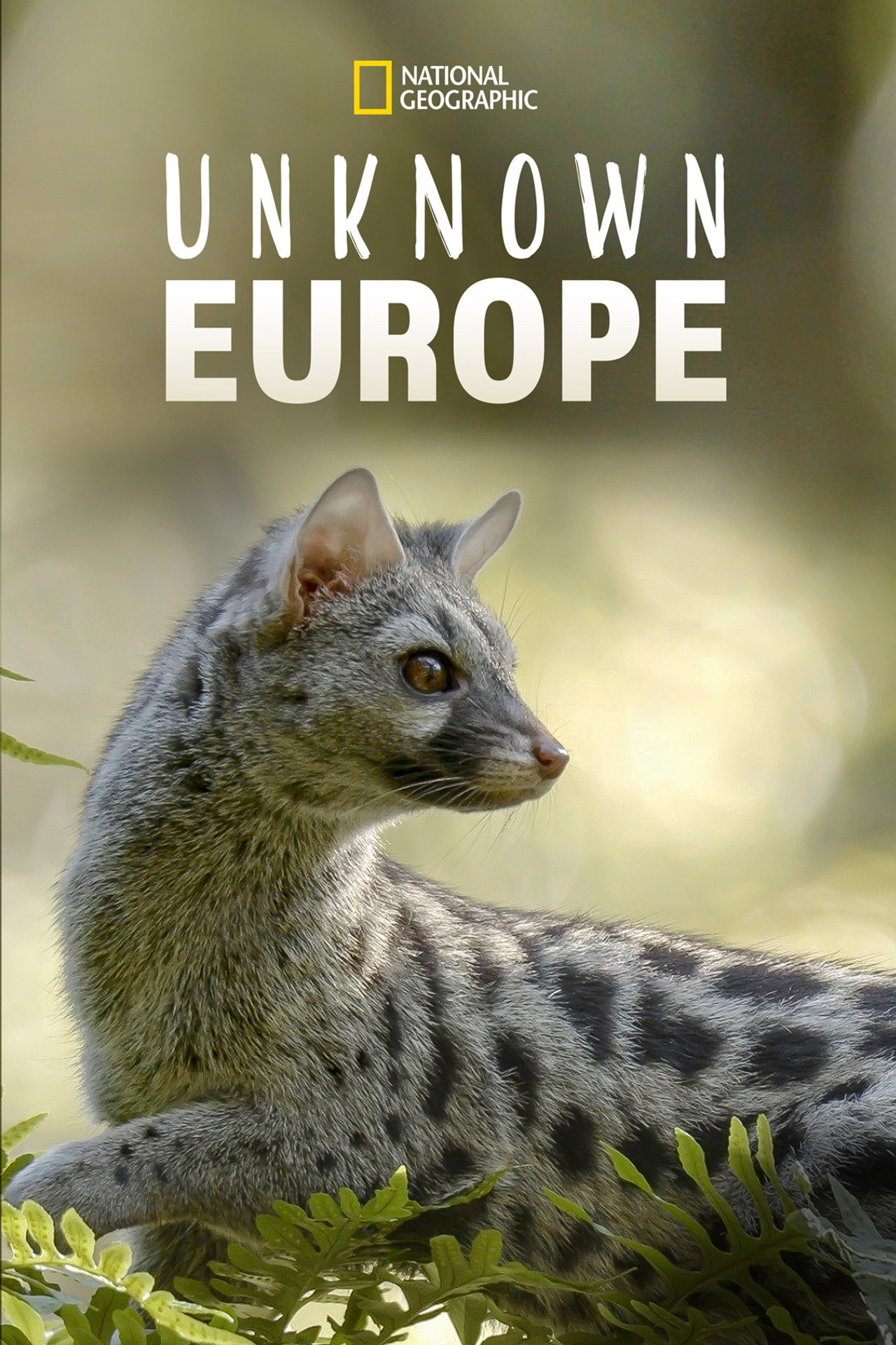 Europas dolda under affisch