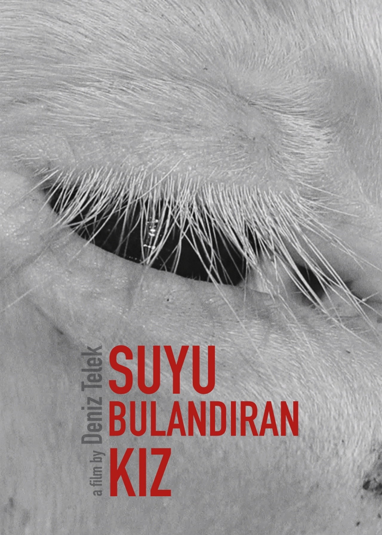 Suyu Bulandıran Kız filmaffisch