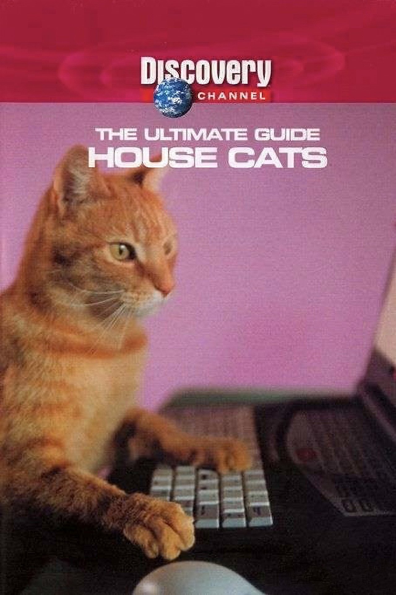 The Ultimate Guide: House Cats (1970)