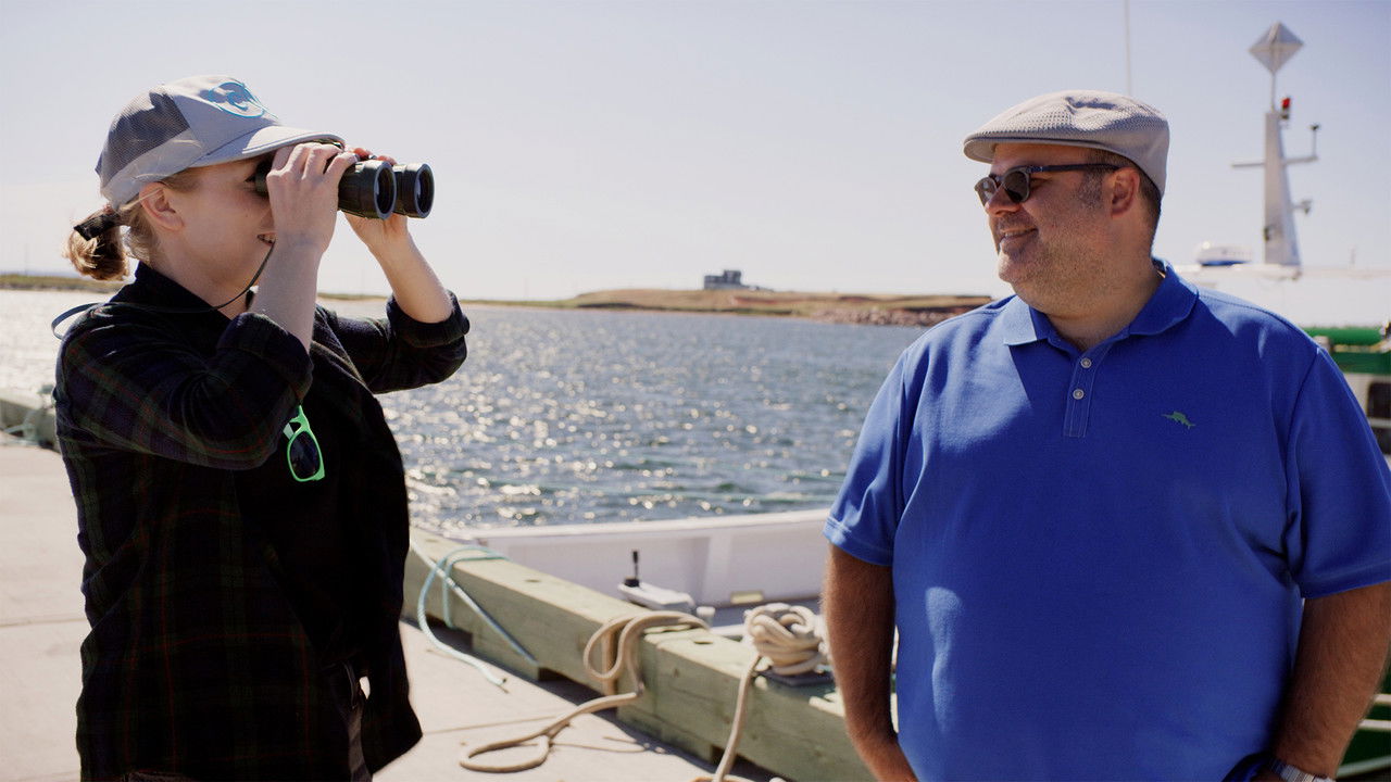 Le sens du punch — Épisode 2