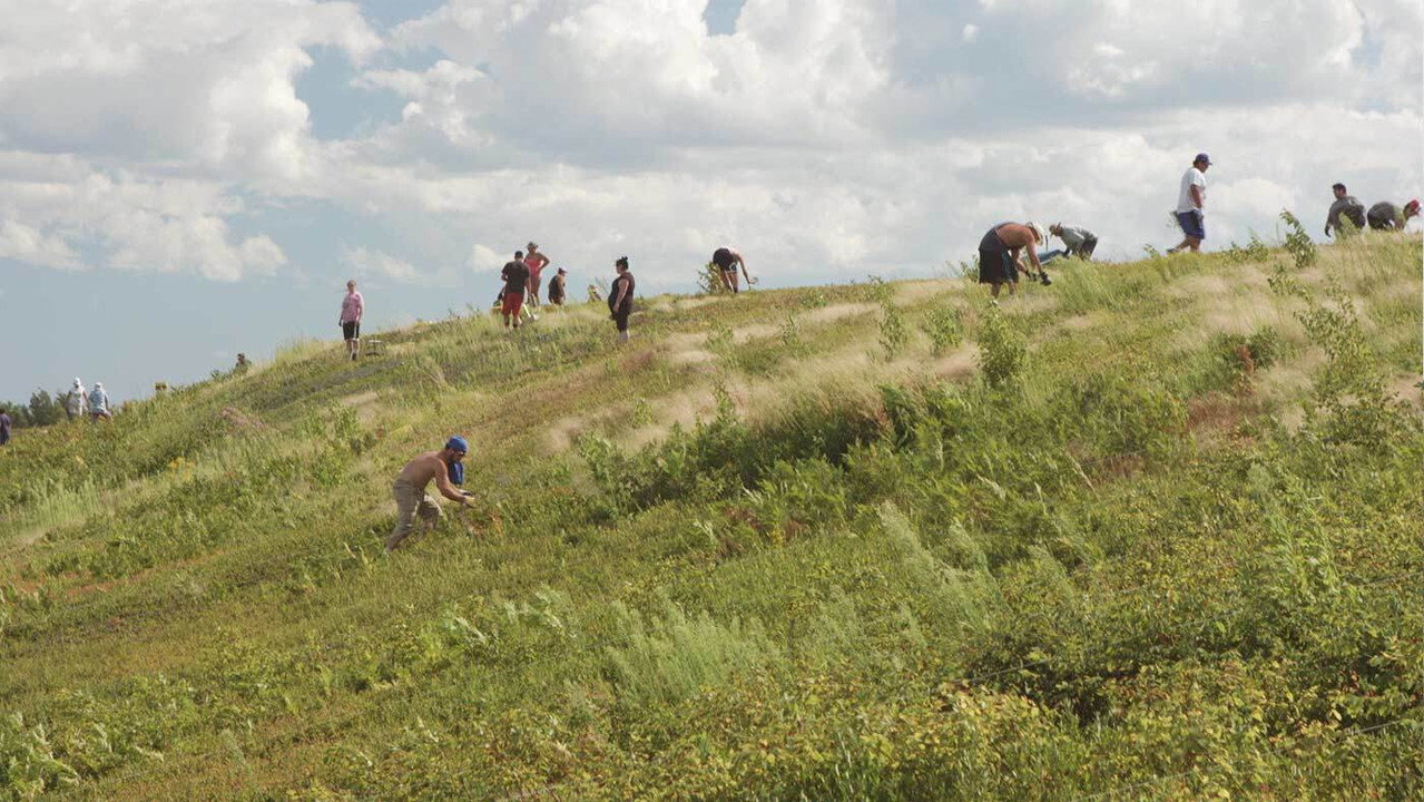 Backdrop for Voices from the Barrens