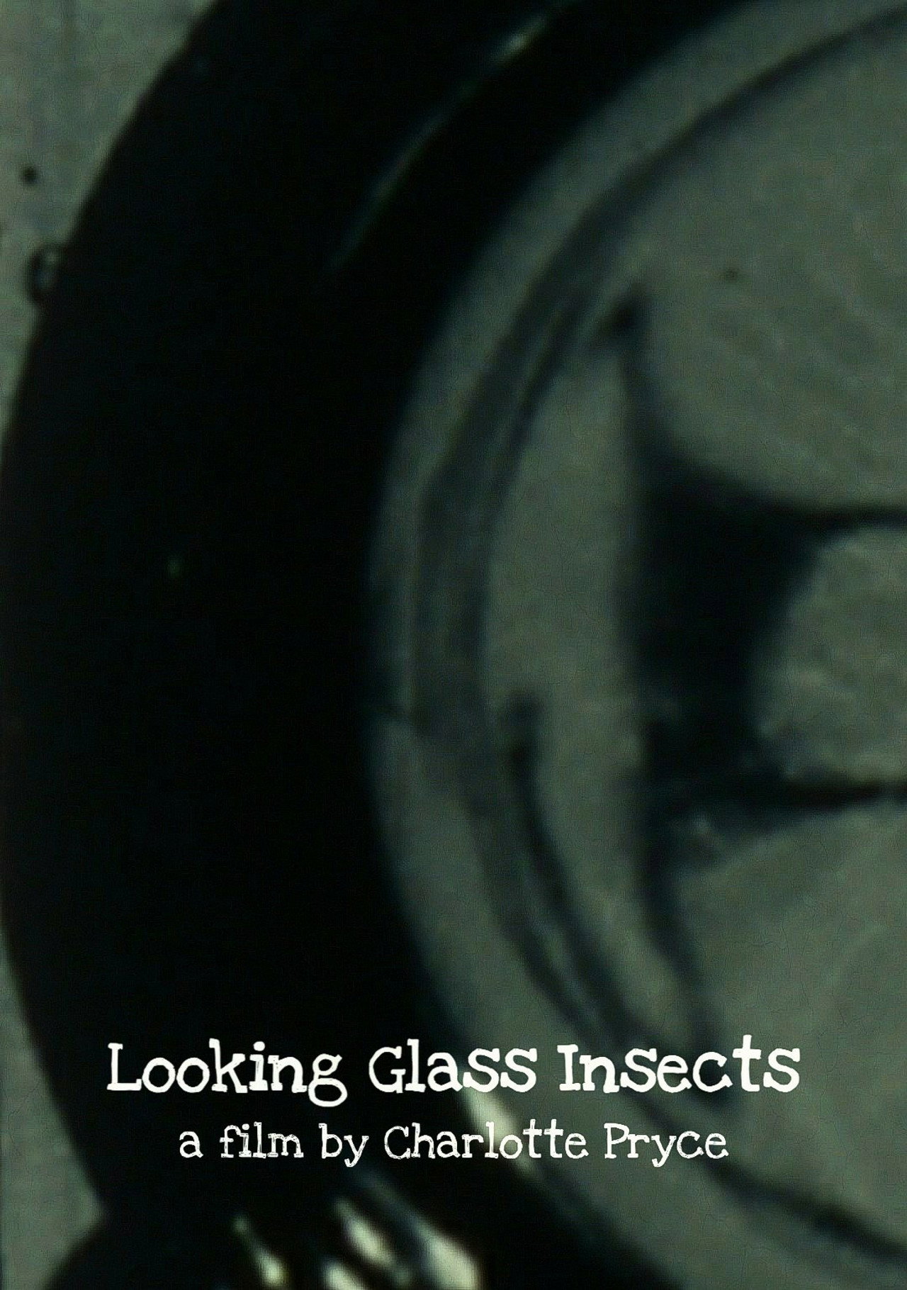 Looking Glass Insects filmaffisch