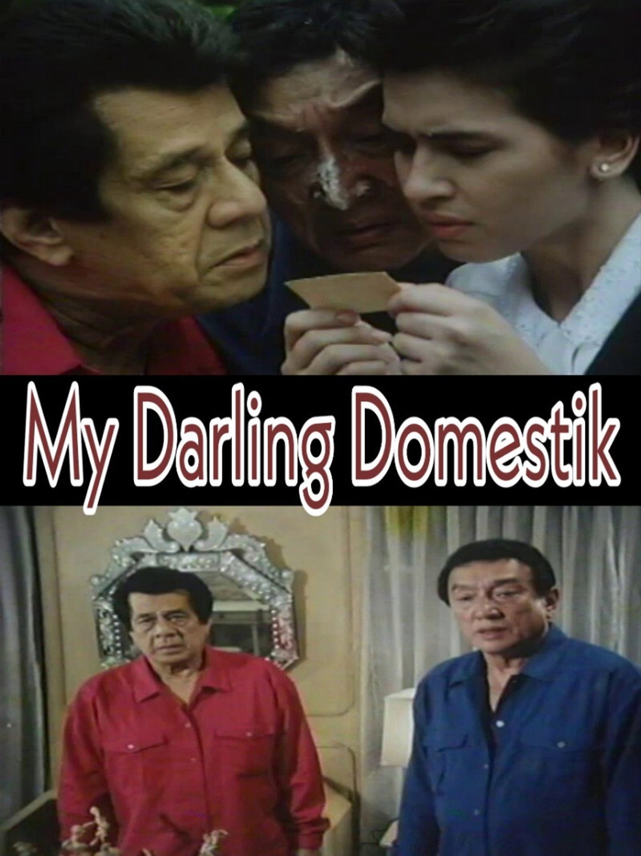 My Darling Domestik filmaffisch