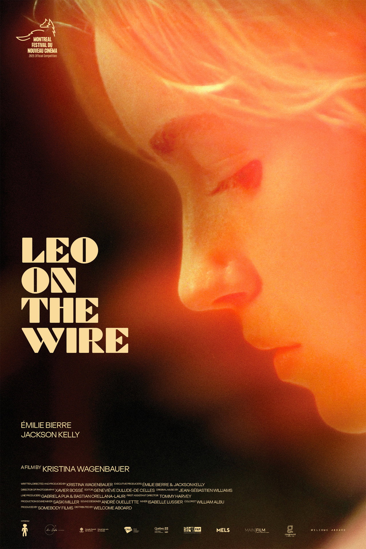 Leo on the Wire poster