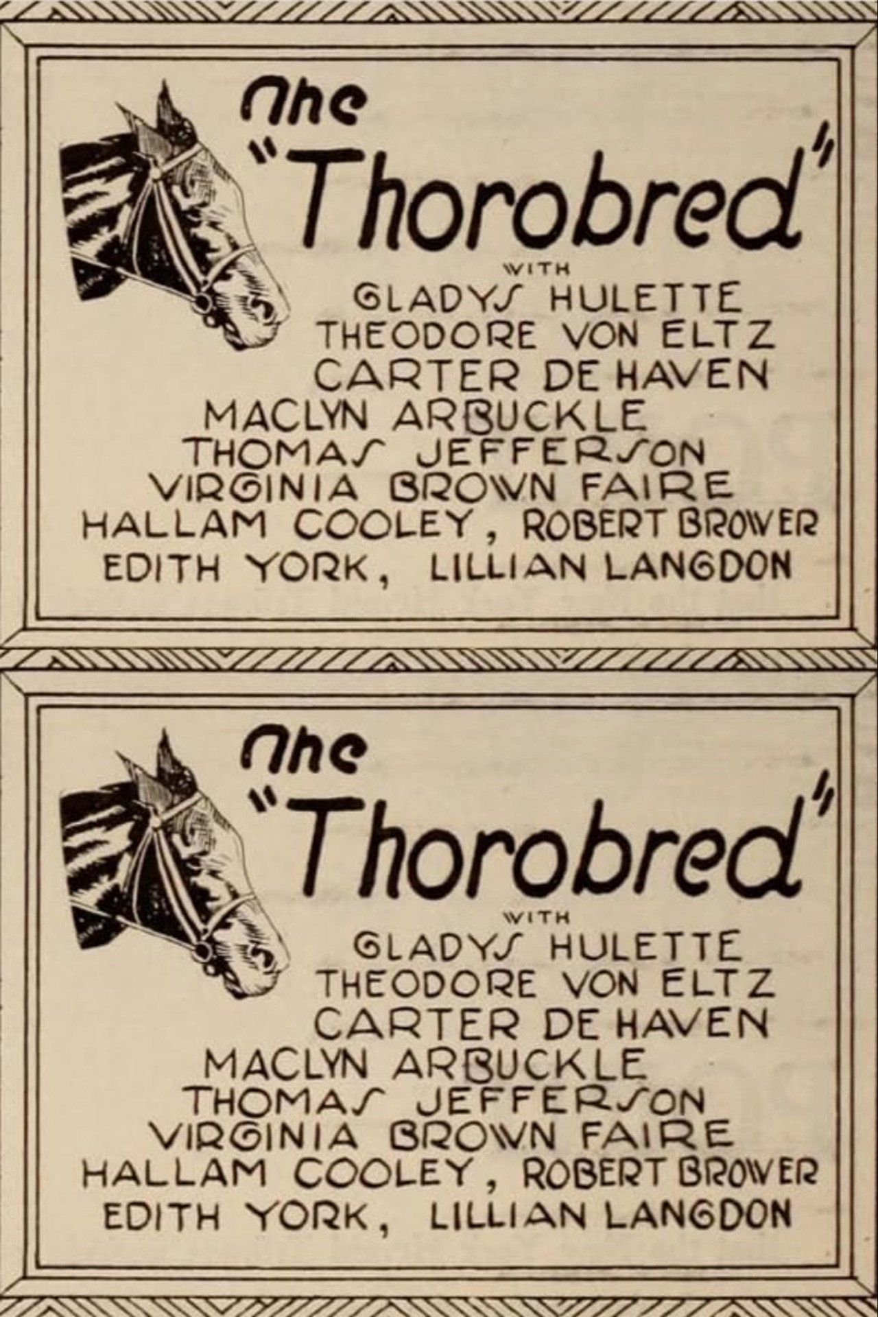 The Thoroughbred
