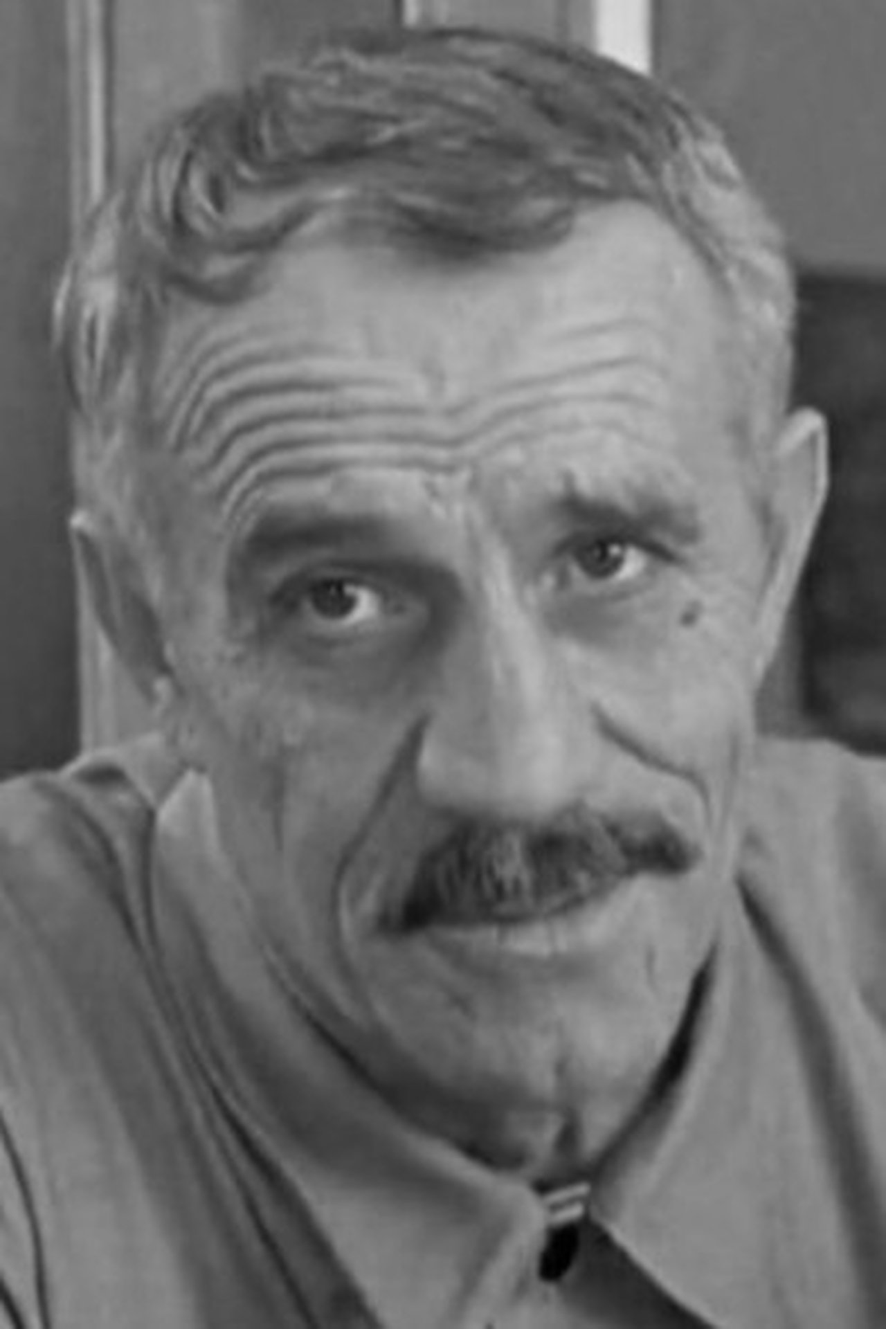 Photo of ნურბეი კამკია