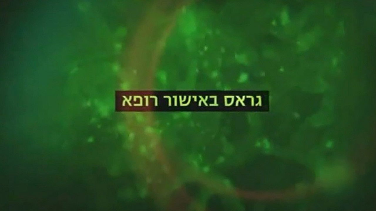 Medical Weed backdrop