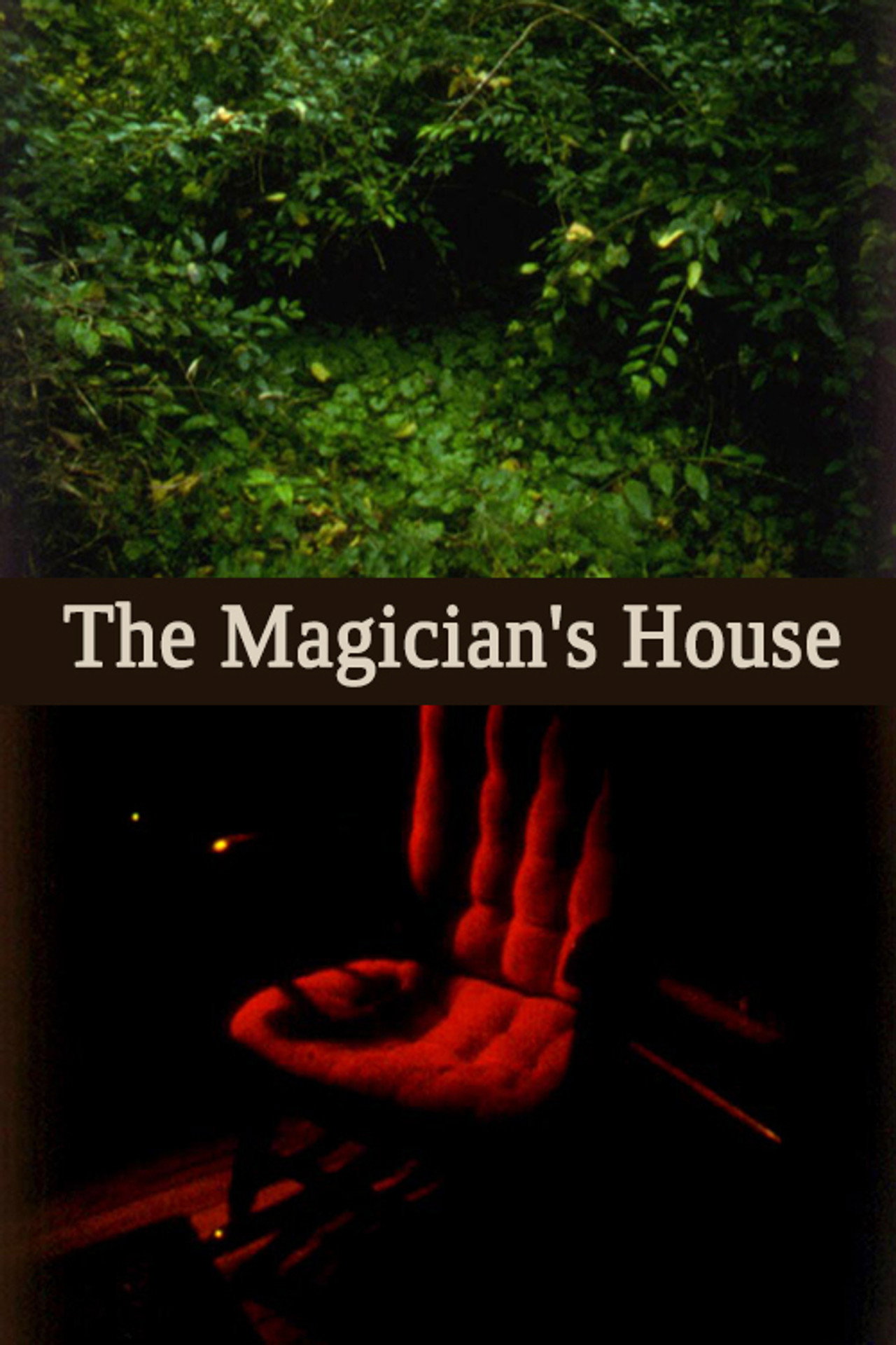 The Magician's House filmaffisch