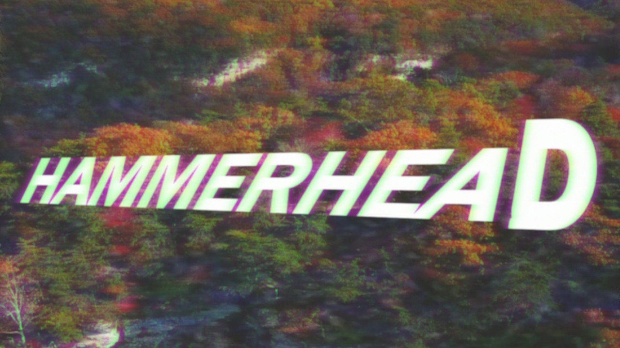Hammerhead still 2