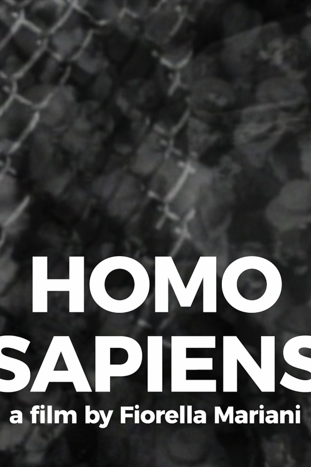 Homo Sapiens