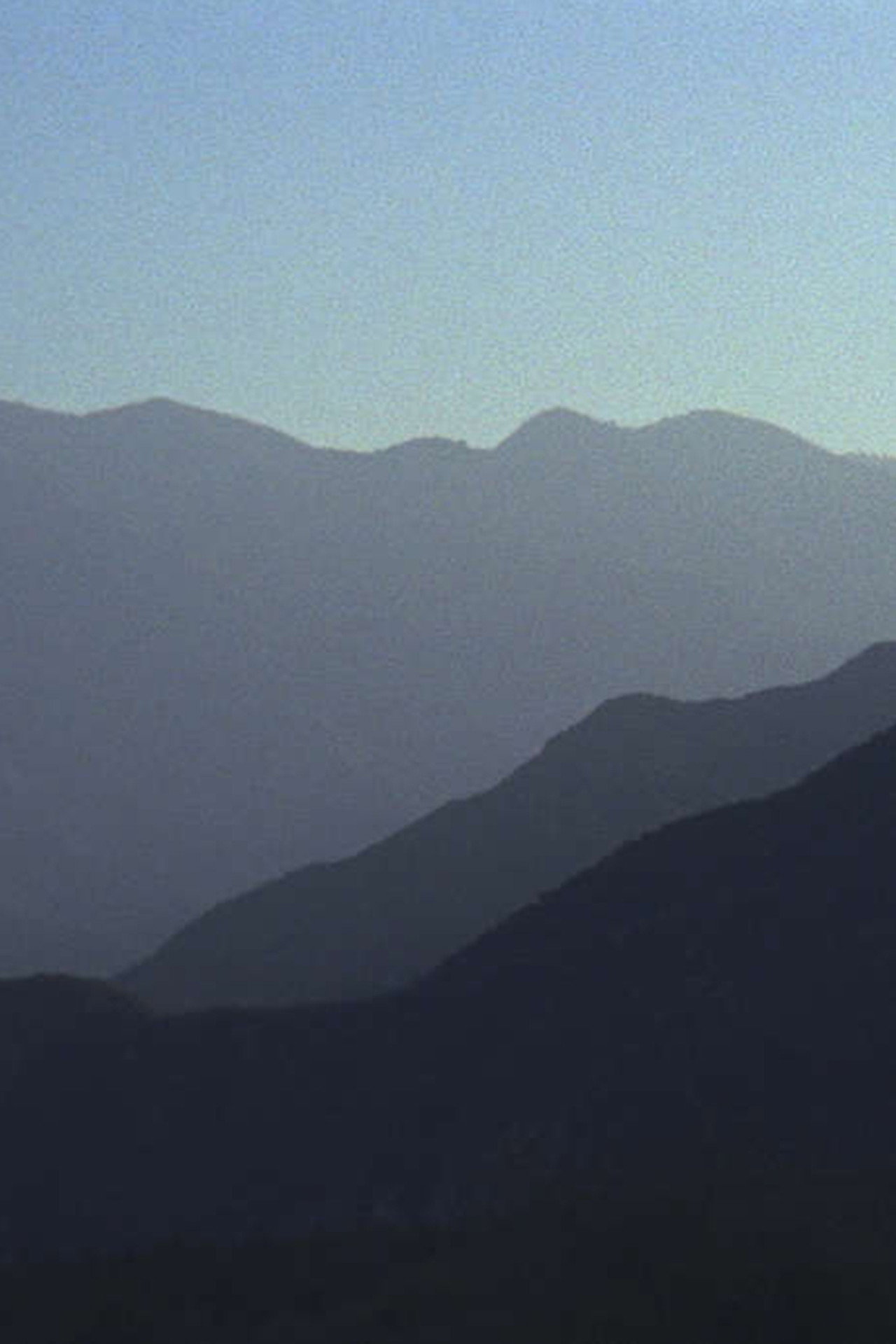 Vivir Para Vivir filmaffisch
