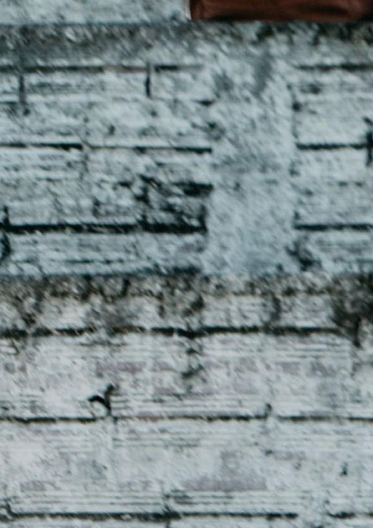 Das Cinzas às Cinzas Backdrop