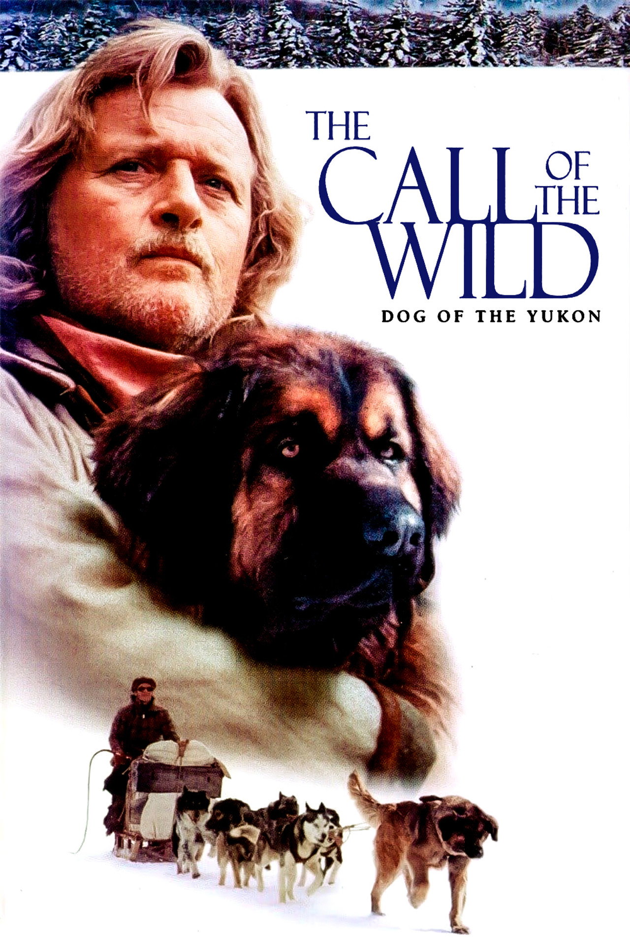 The Call of the Wild: Dog of the Yukon still 3