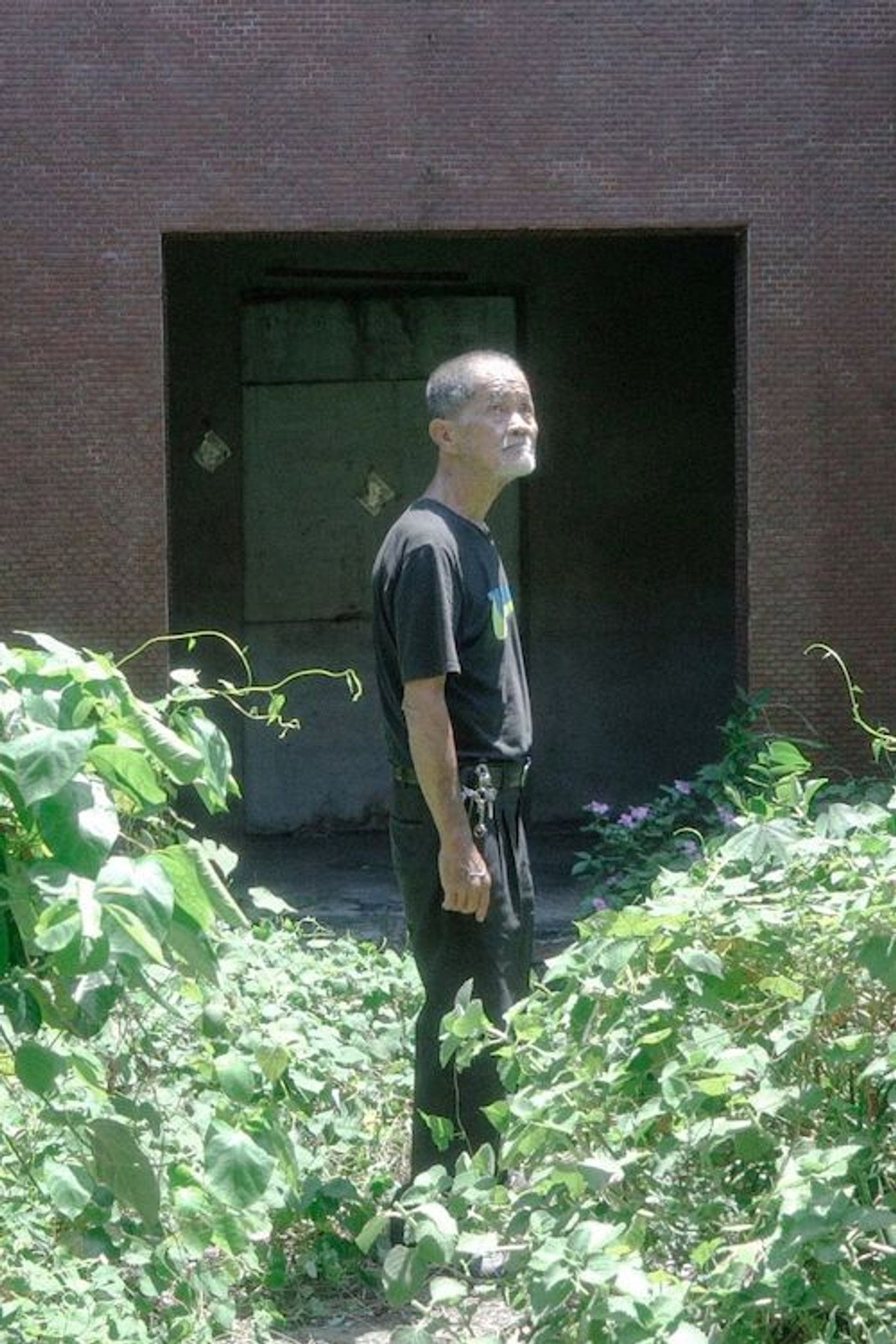 庭中有奇樹 filmaffisch