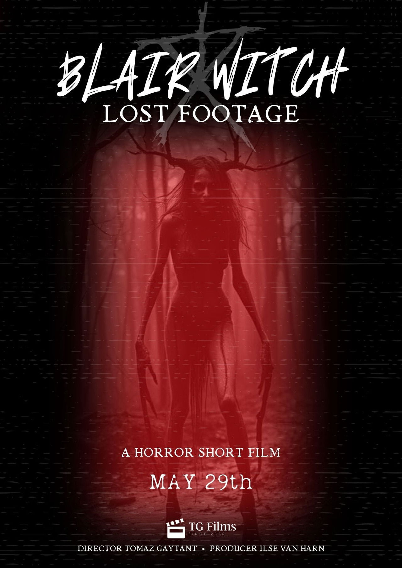 Blair witch:Lost Footage poster