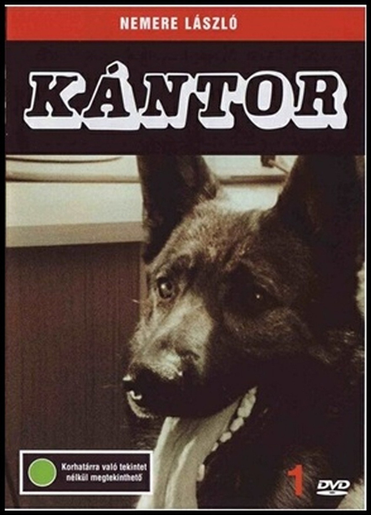 Kántor – plakát 2