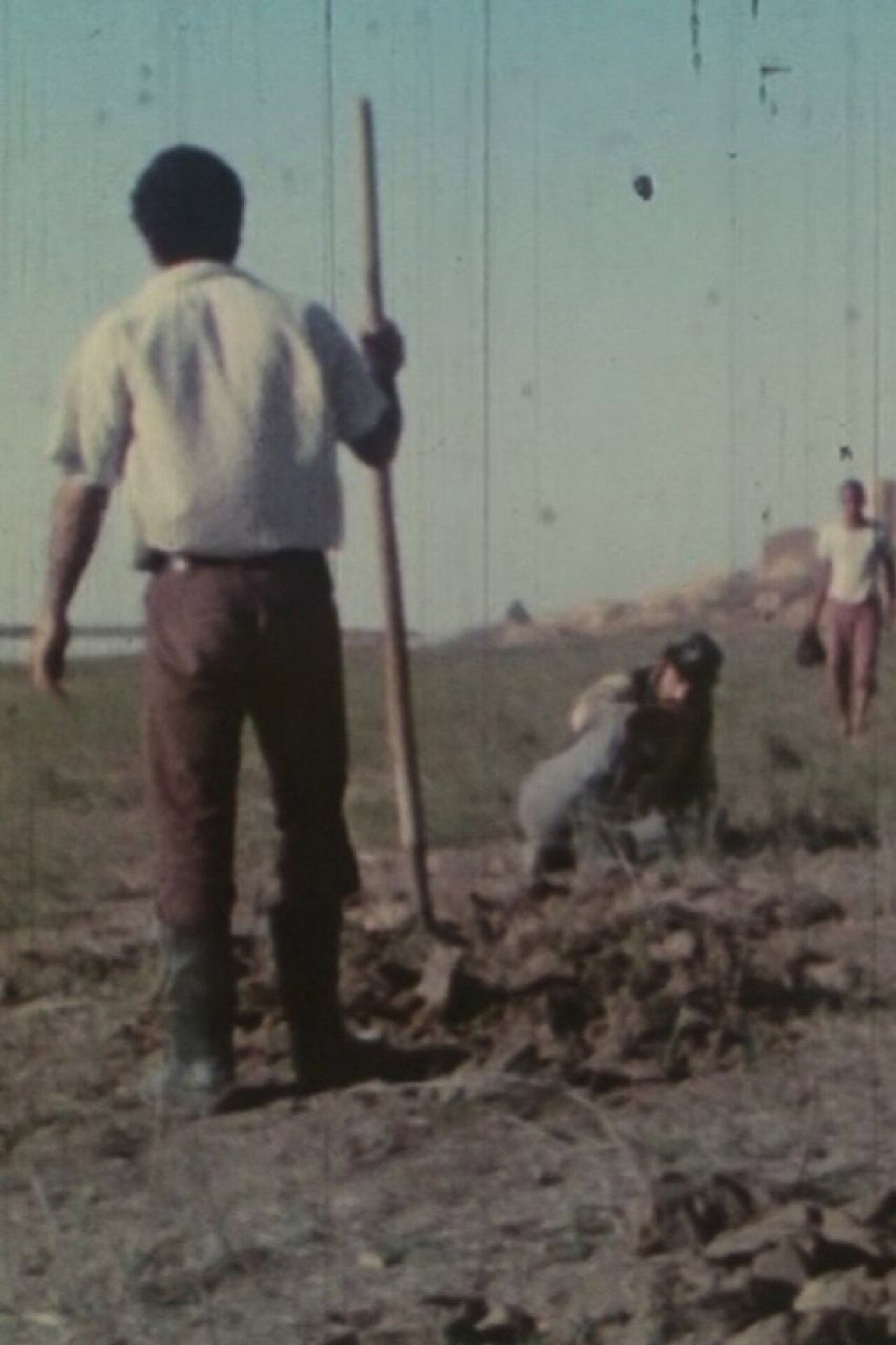 رود زهر filmaffisch
