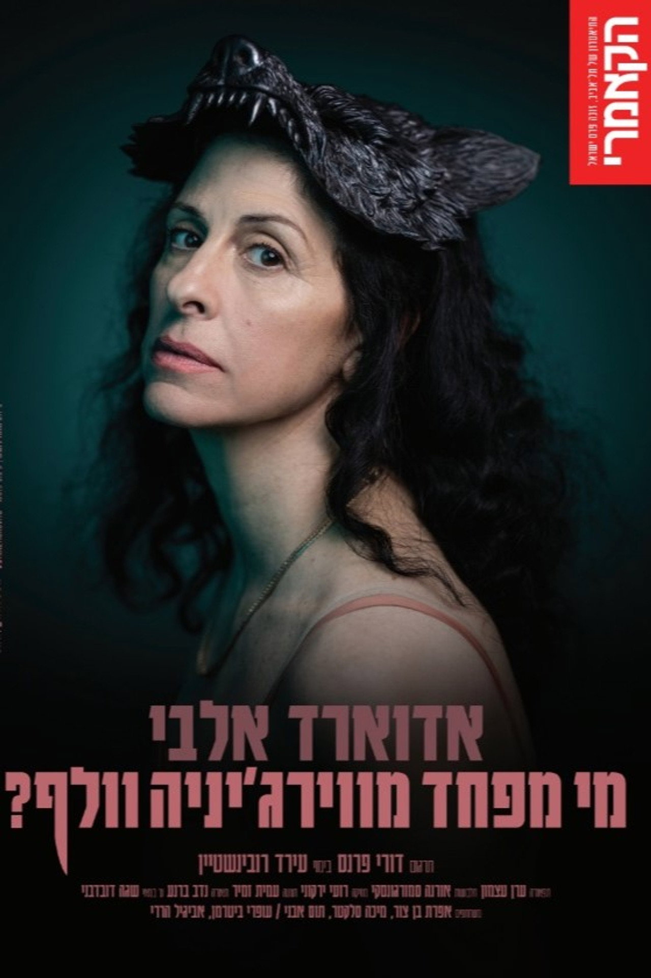מי מפחד מוירג'יניה וולף? filmaffisch