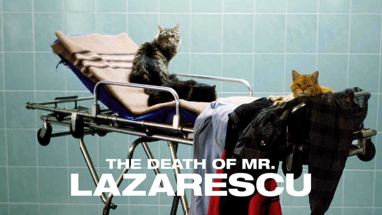 The Death of Mr. Lazarescu background