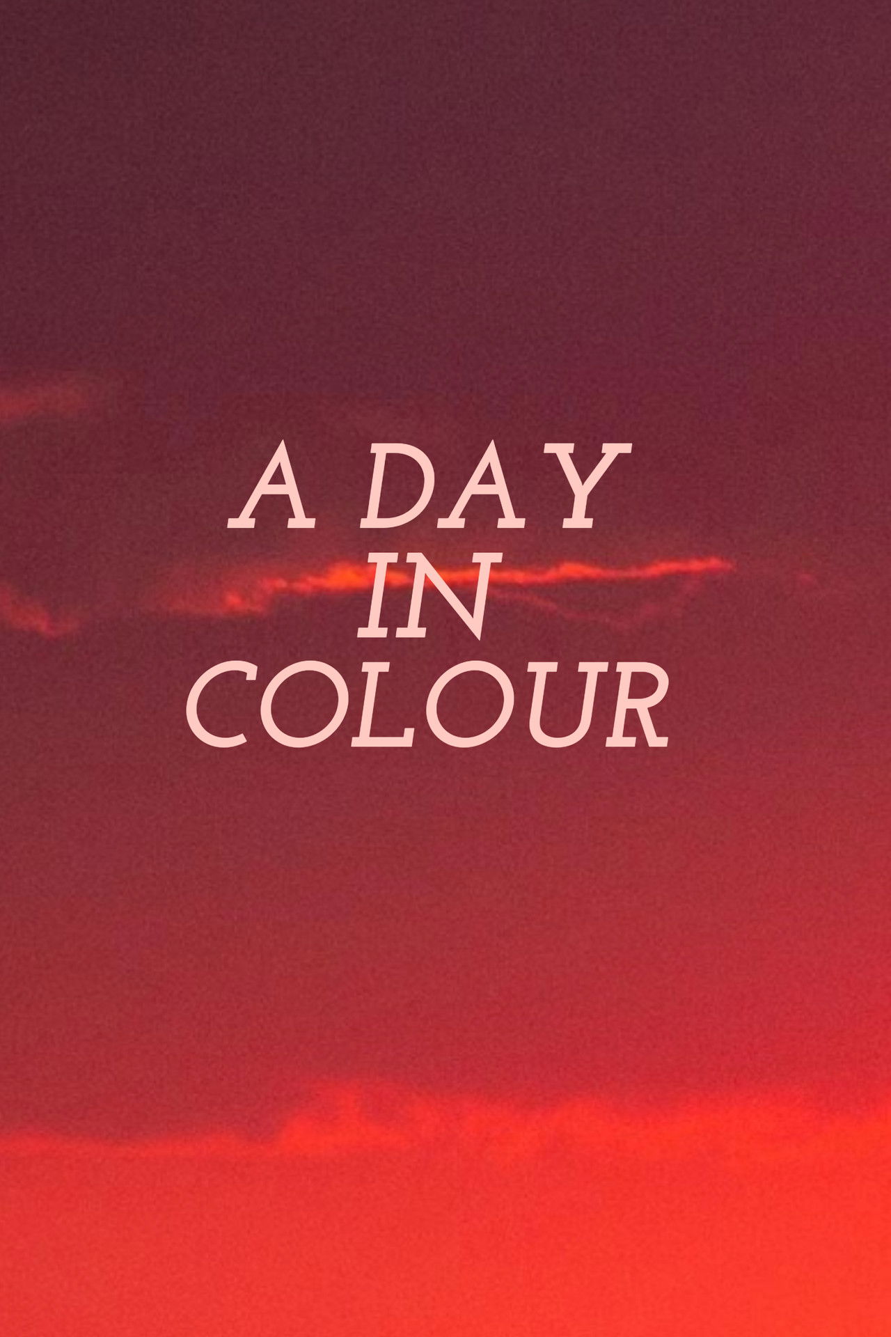 A Day in Colour