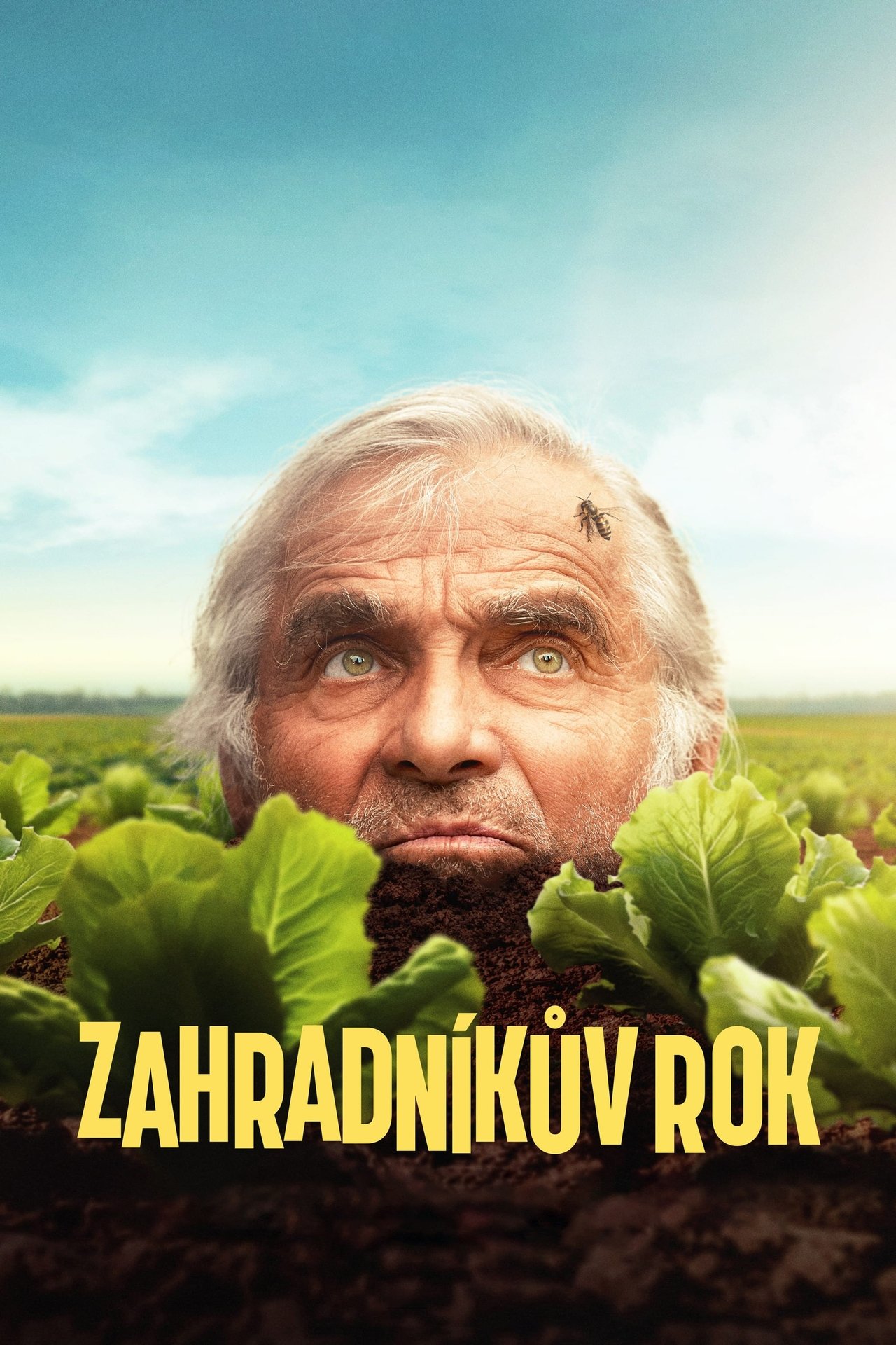 Zahradníkův rok poster