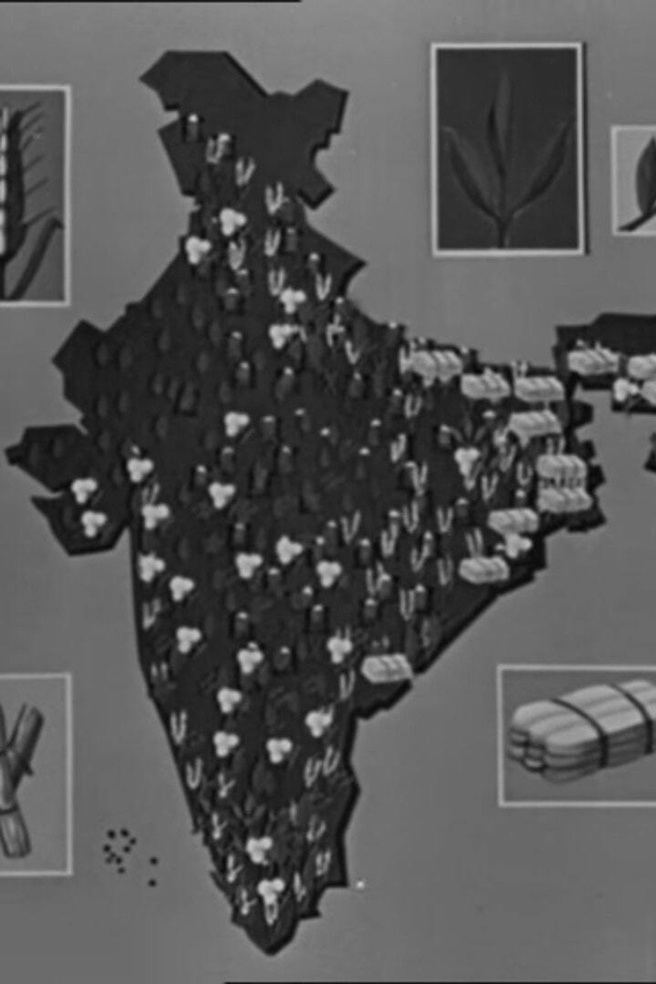 This Our India