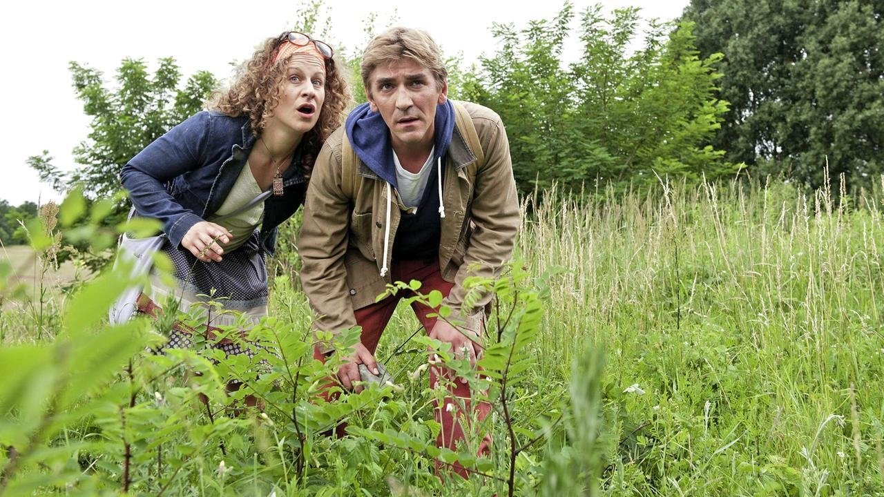 Löwenzahn - Season 32 Episode 6 : Schmetterlinge - Einsatz für die Wildwiese