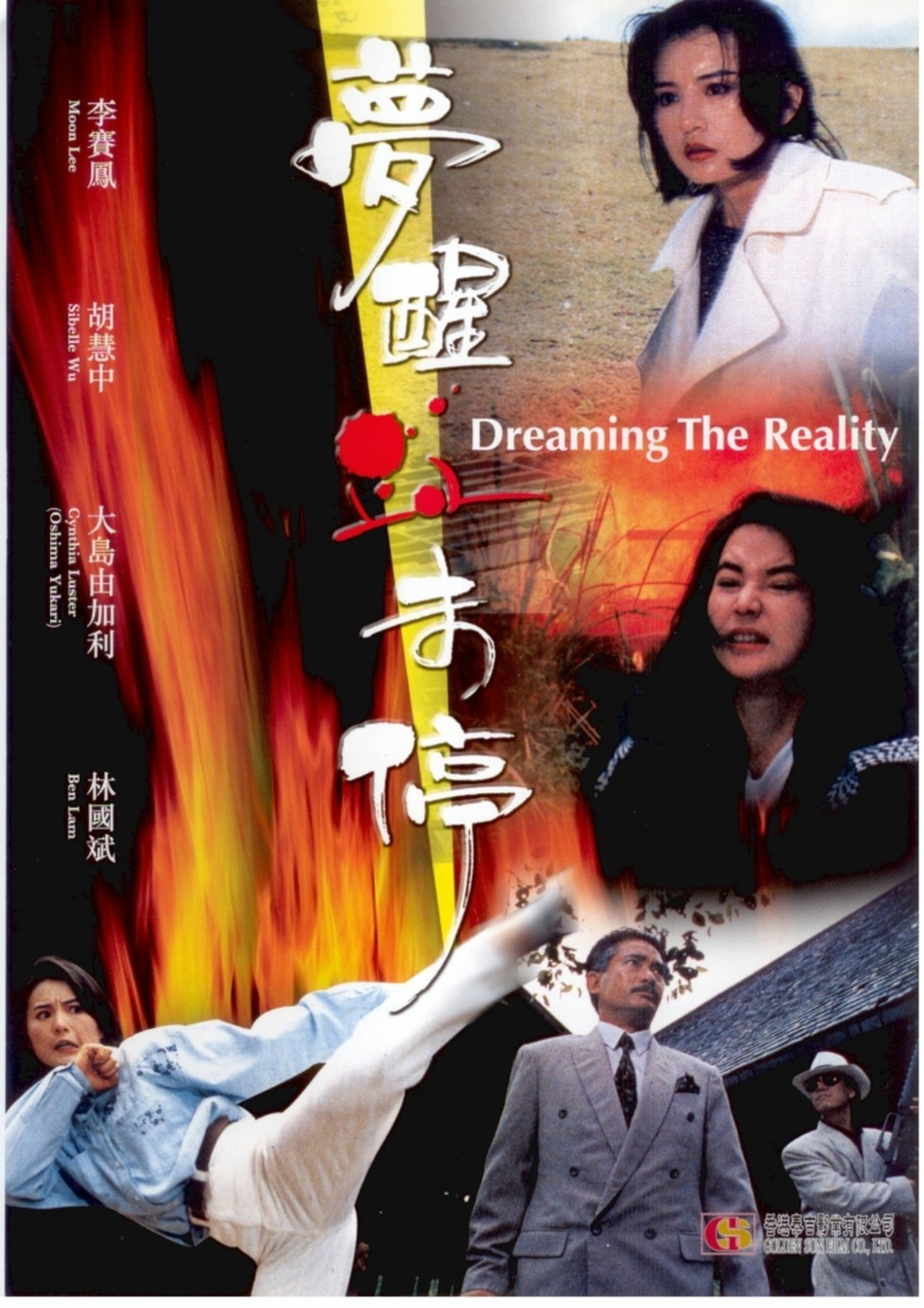 Dreaming the Reality poster