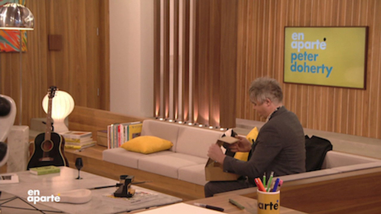 En aparté — Peter Doherty