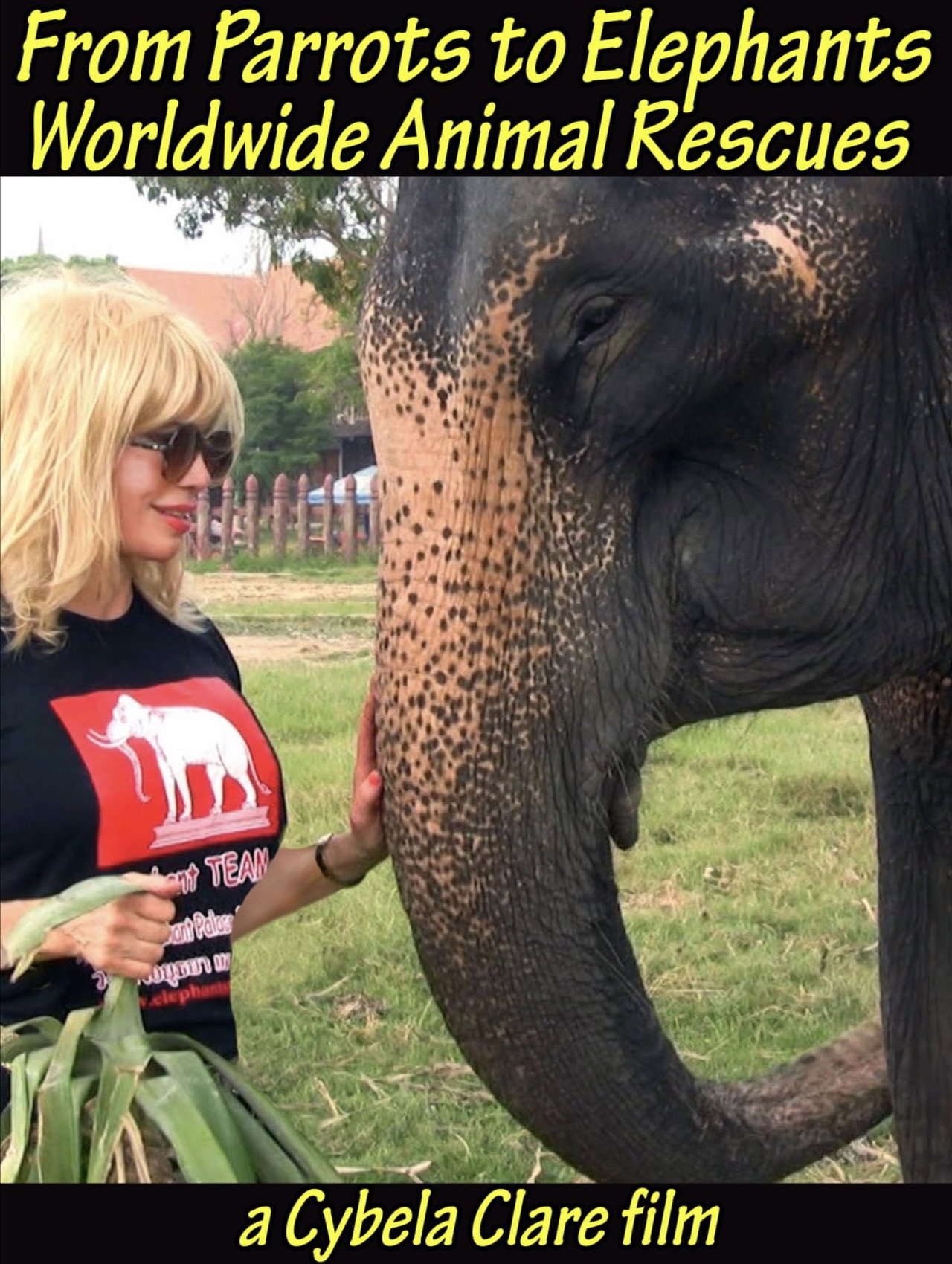 From Parrots to Elephants: Worldwide Animal Rescues Backdrop